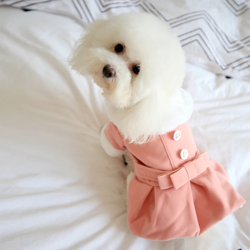 winter clothing dress (10)