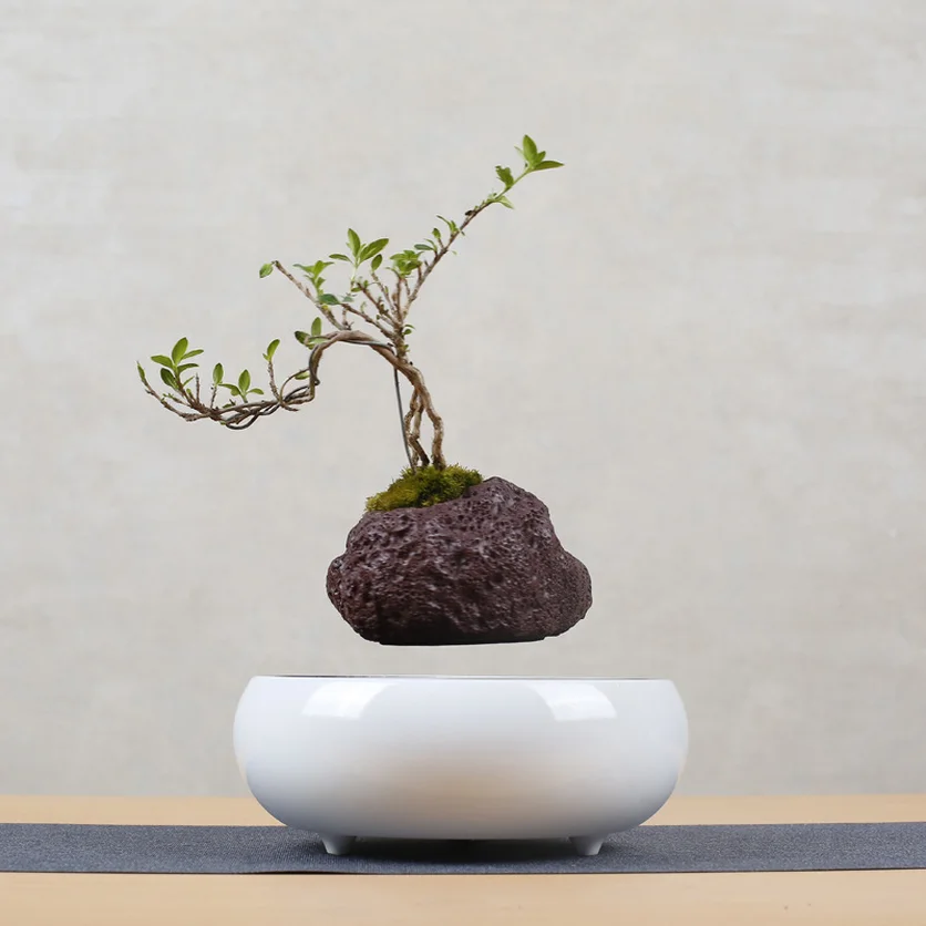 

NEW Magnetic Levitation Air Bonsai Suspension Levitating Flower Pot Plant Home Decoration Flower Pot Good Quality 2019