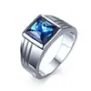 Mens Rings Stainless Steel Blue Cubic Zirconia Cut Ring Fashion Jewelry Wedding Band anel masculino bague ► Photo 2/6