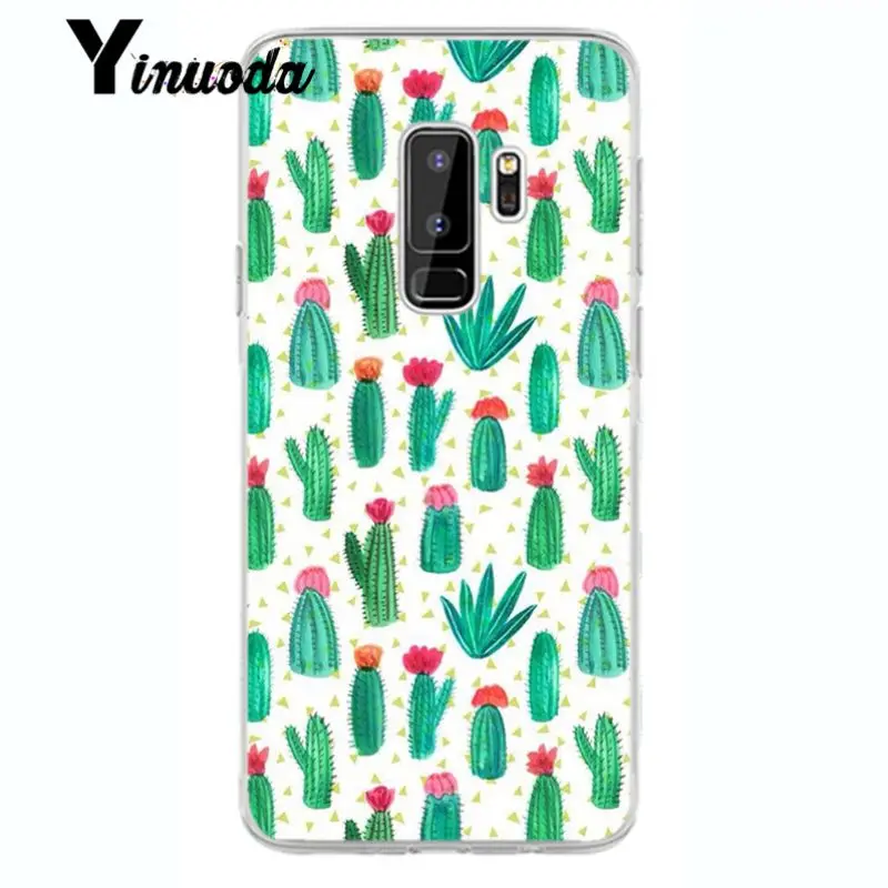 Flower Cherry Tree Candy Colors Leaves 