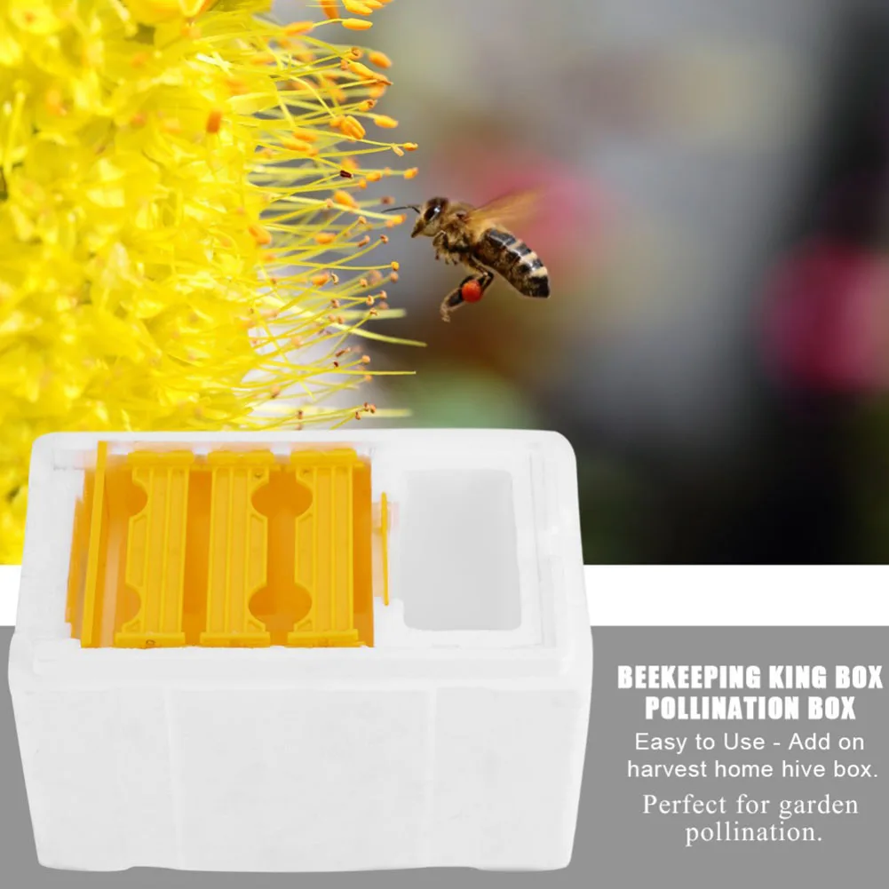

Foam Plastic Mating White Bee Hive Harvest Honeycomb Building Easy Maintenance Pollination Frames Home Use Garden Beekeeping