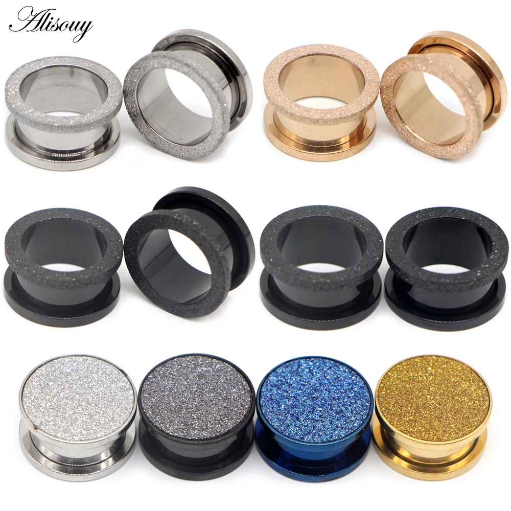 Alisouy 2pcs Steel Scrub Ear Plugs Tunnels Screw Earrings Gauges Kits