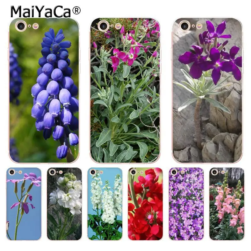 

MaiYaCa Jasminum Matthiola incana (L.) R. Br. soft tpu phone case cover for Apple iPhone 8 7 6 6S Plus X 5 5S SE 5C 4 4S Cases