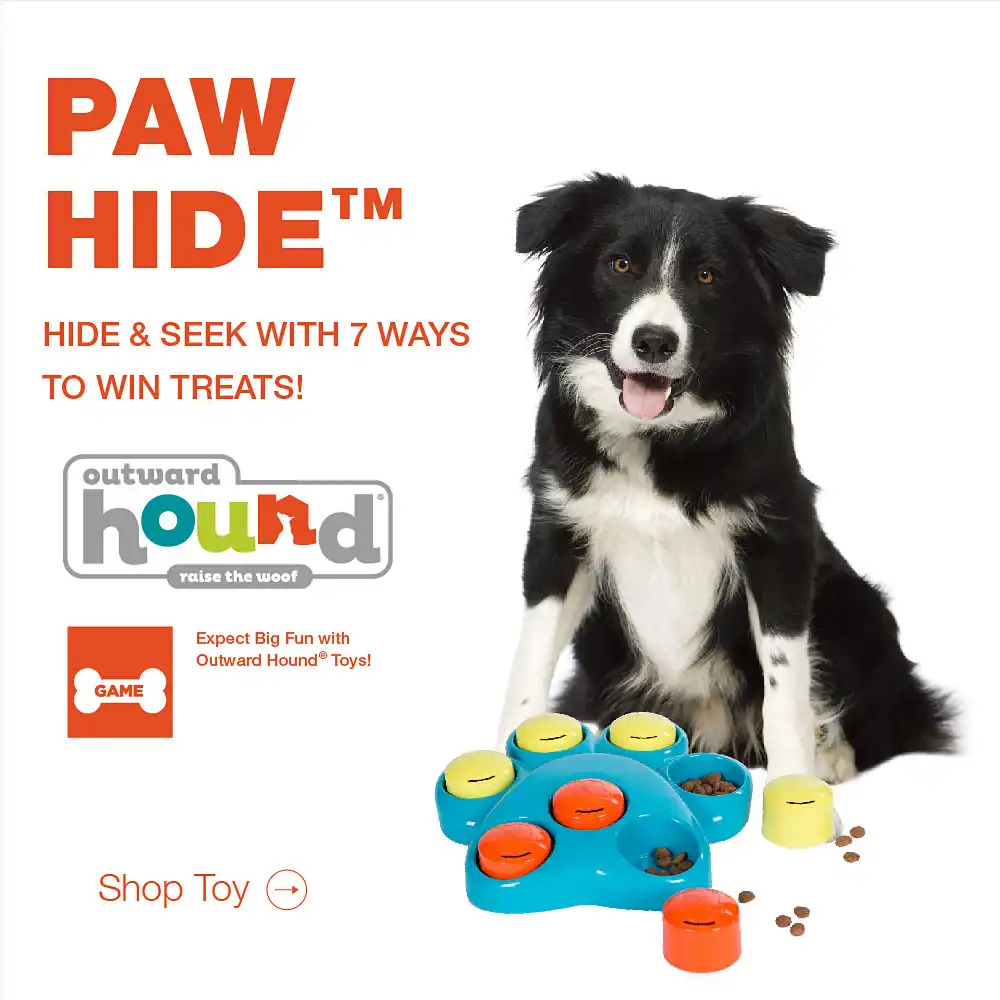 hoopet dog toys