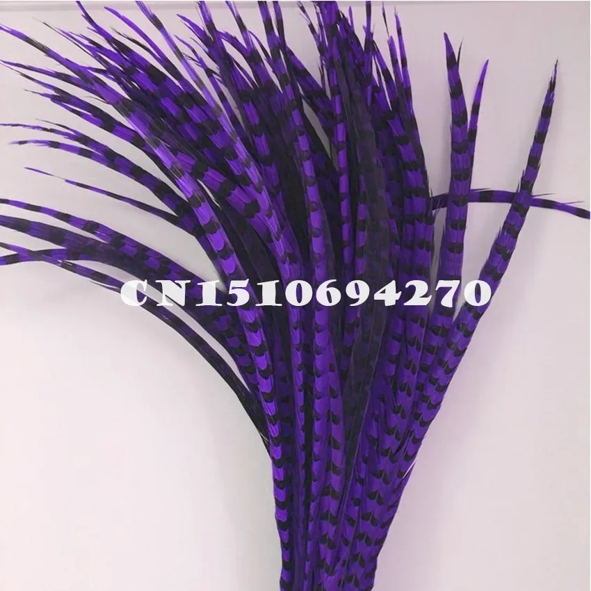purple 5