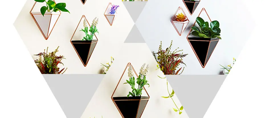 Органическое стекло инновационные Висячие вазы для растений геометрический Настенный декор контейнер для суккулентов горшки для растений