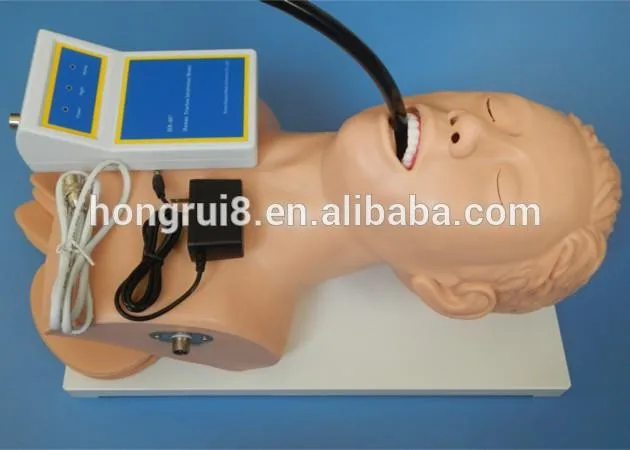 407 intubation training model 2