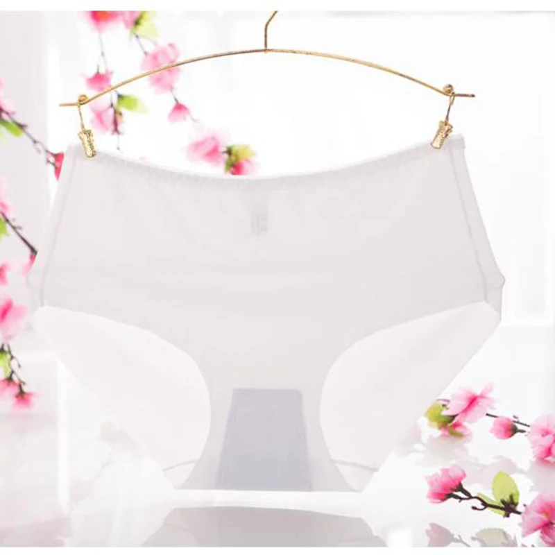 Hot Sale Women Sexy Panties Summer Ladies Seamless Soft Brief Breathable Cotton Intimates Underwear Women Clothing Free Shipping (22)