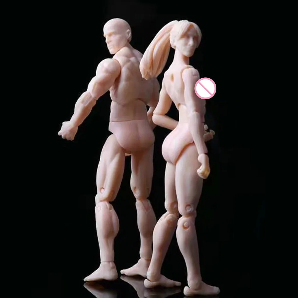Новинка, мужская и женская модель тела, фигурка, игрушки для художника, подвижный шарнирный манекен, художественный эскиз, нарисованные фигурки, кукла из человеческого тела