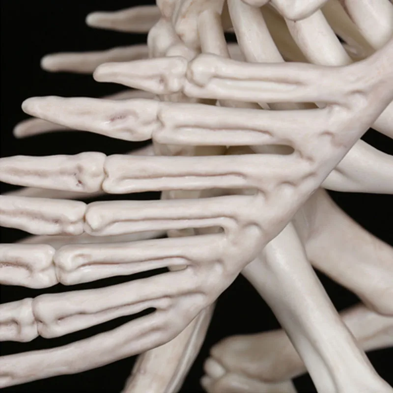 Cosplay&ware Halloween Decoration Bone Animals Skeleton Ornaments Batspiderdragonbird Bones Hallowmas Horror Party -Cosplayware Store HTB1rdeOXjzuK1RjSspeq6ziHVXaG.jpg