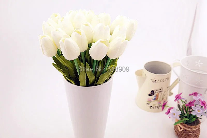 SAM_6444