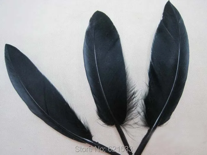200PCS/LOT 8 10cm Curved Black Goose Quill Feathers Black Goose Quills