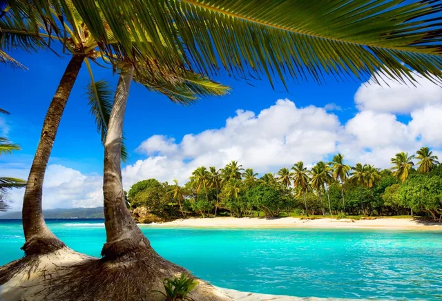 Laeacco Sunny Cloudy Blue Sky Sea Beach Palm Trees Photography Laeacco Sunny Cloudy Blue Sky Sea Beach Palm Trees Photography Backgrounds Vinyl Custom Photographic Backdrops For