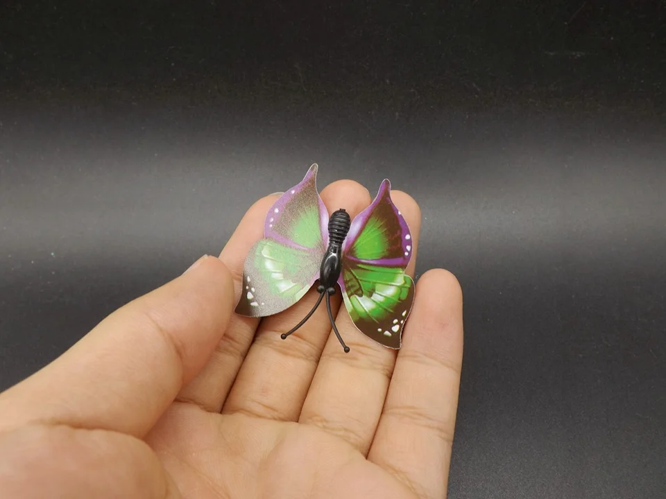 I253-Butterfly (3)