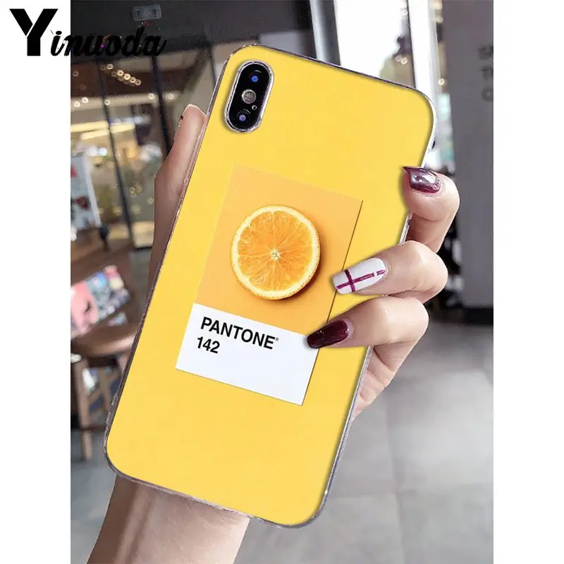 Pantone Candy Color Fruit Cookies sunshine sky