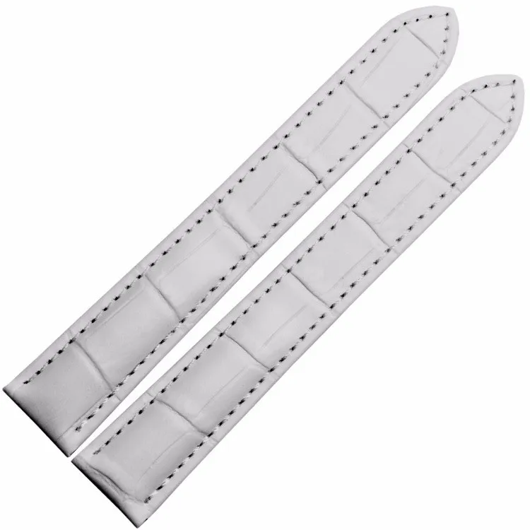 2554206402_1909481853