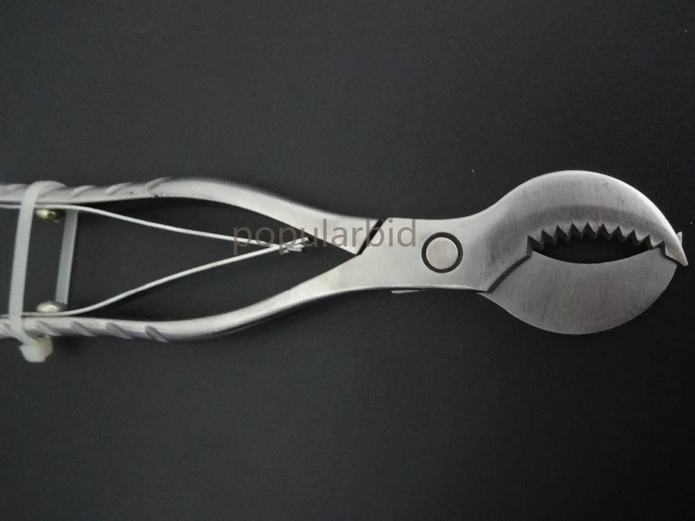 

Small 6.3"/16cm Dental lab Gypsum scissors Dental Lab Plaster Shears Scissors LargePlaster Scissors