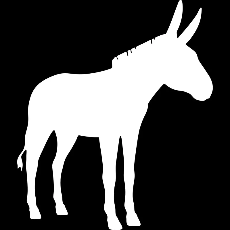 3050