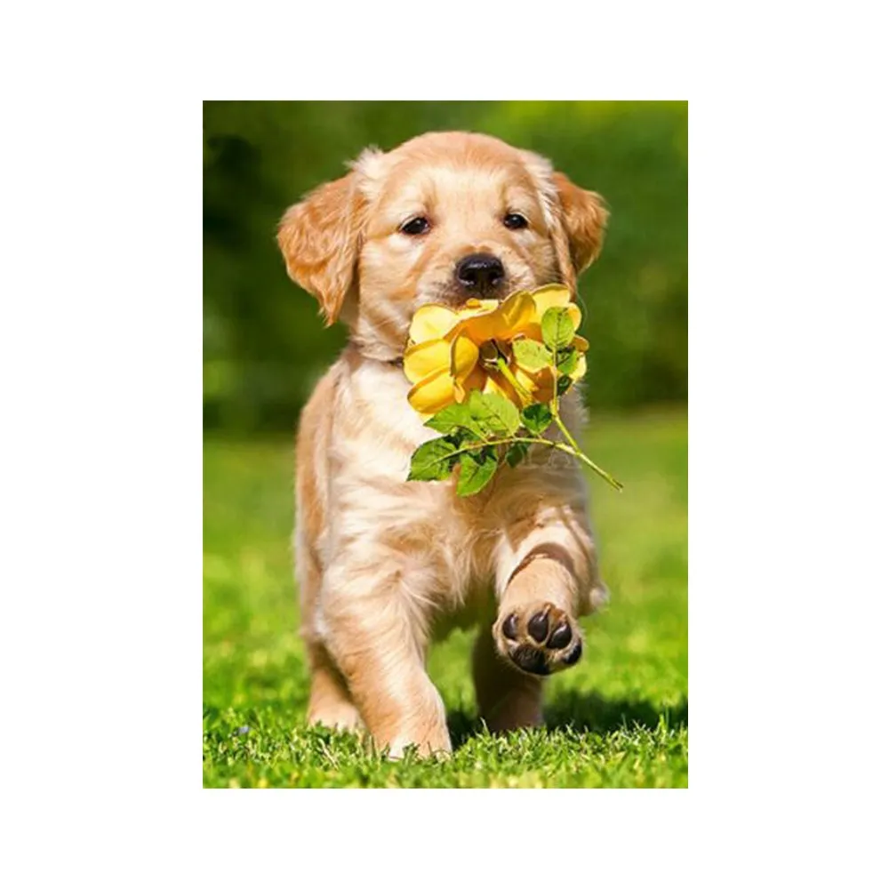 

DIY 5D Partial Diamond Painting Cross Stitch Baby Puppy Dog Diamond Embroidery Patterns Rhinestones Diamond Mosaic Picture
