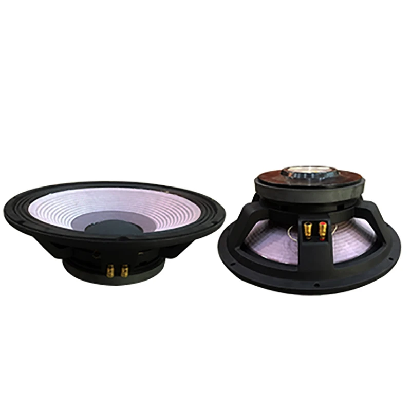 15 inch raw speakers