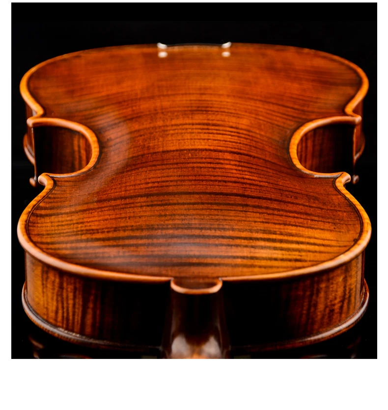 Master Violin Christina Italy V08B professional violino 4/4 high quality Spruce Maple Violin Case,rosin musical instruments