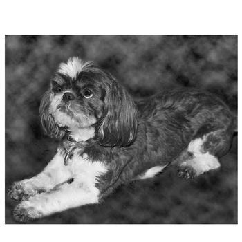 

Shih Tzu pet dog diamond embroidery puzzles diamond painting sale for mosaic picture of rhinestones cross-stitch Z1008