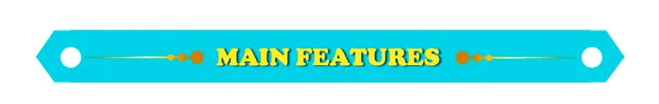 main feature
