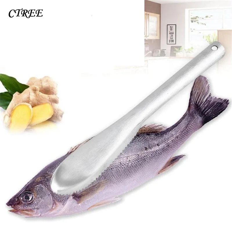 

CTREE 1 Pcs Stainless Steel Scale Scraper Fish Skin Brush Cleaner Peeler Scaler Remover Cleaning Brush Fishing Seafood Tool C565