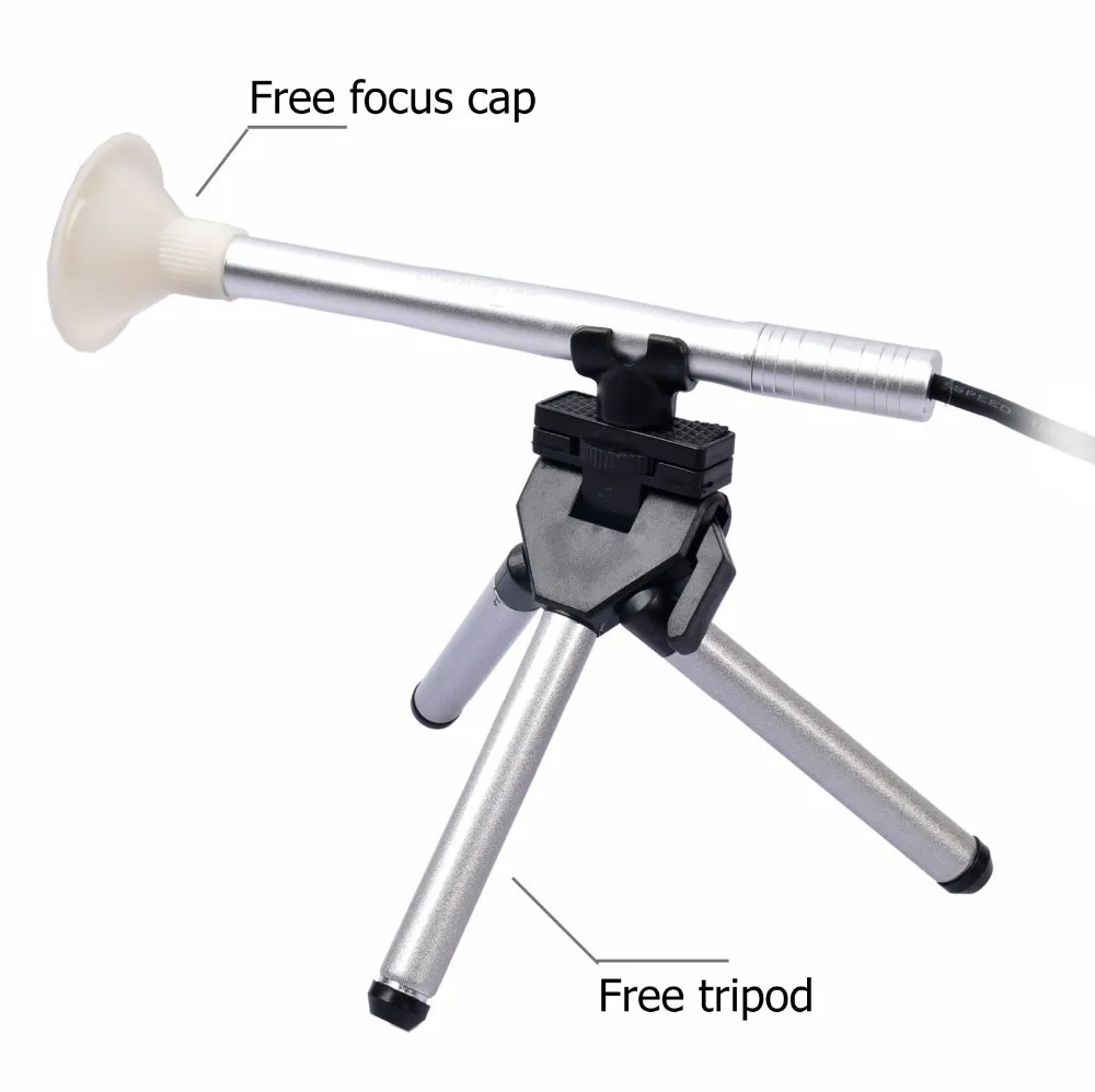 Otoscope video 3