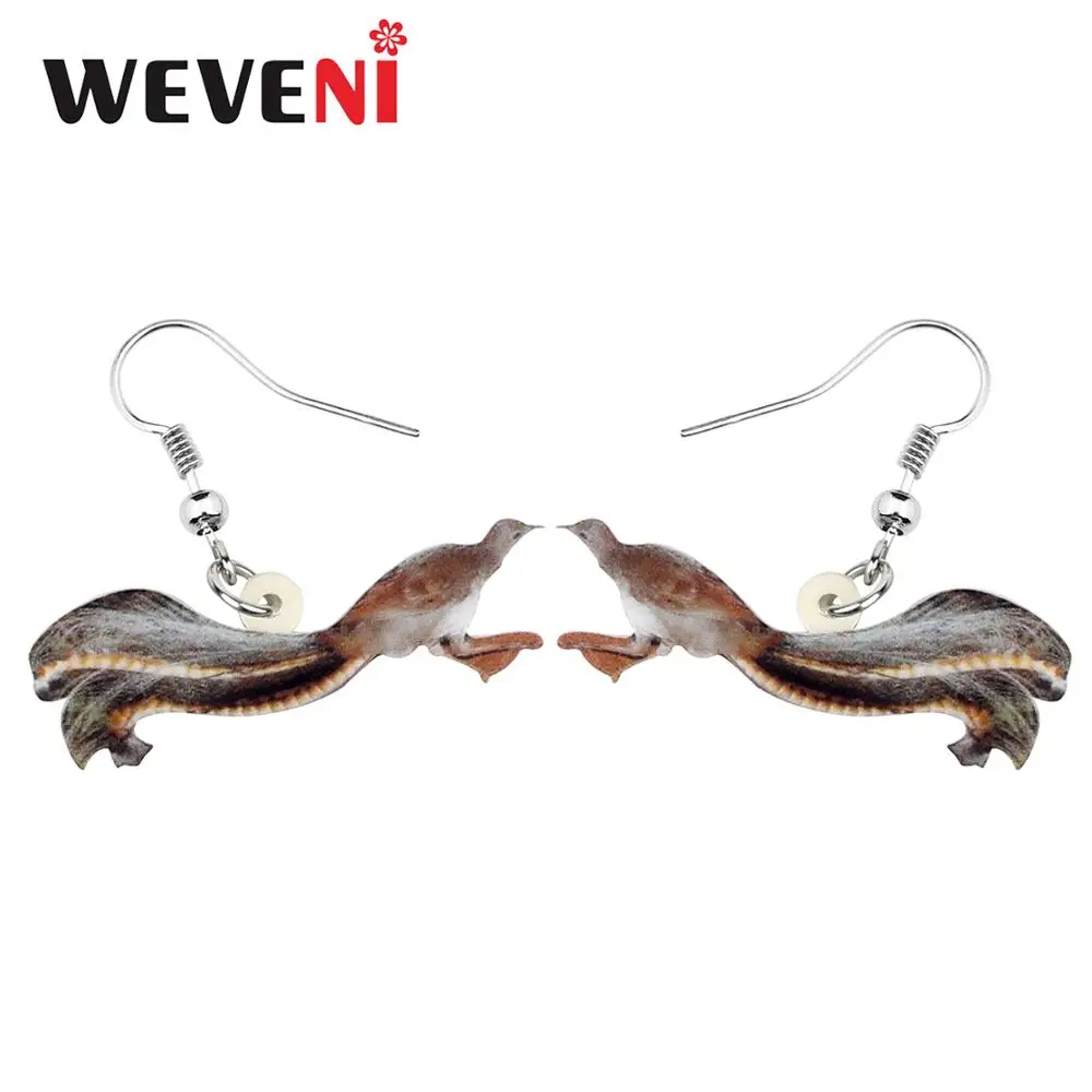 

WEVENI Acrylic Australian Gorgeous Lyrebird Earrings Dangle Drop Fashion Bird Jewelry For Women Girls Charm Gift Decoration