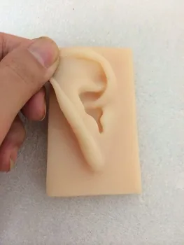 

1:1 Natural Size Ear Model Life Size Silicone Ear Acupuncture Practice Model Simulation Model of The Ear Right and Left oreille