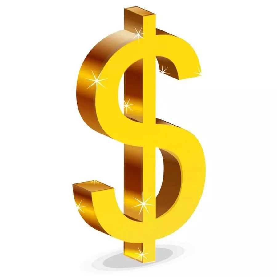 

payment link
