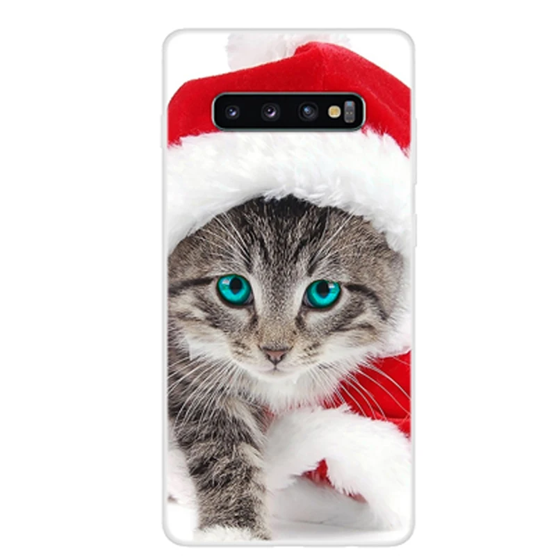 268529-S10 PLUS -