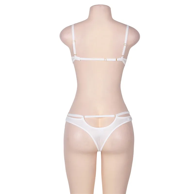 R80293-2 (3)