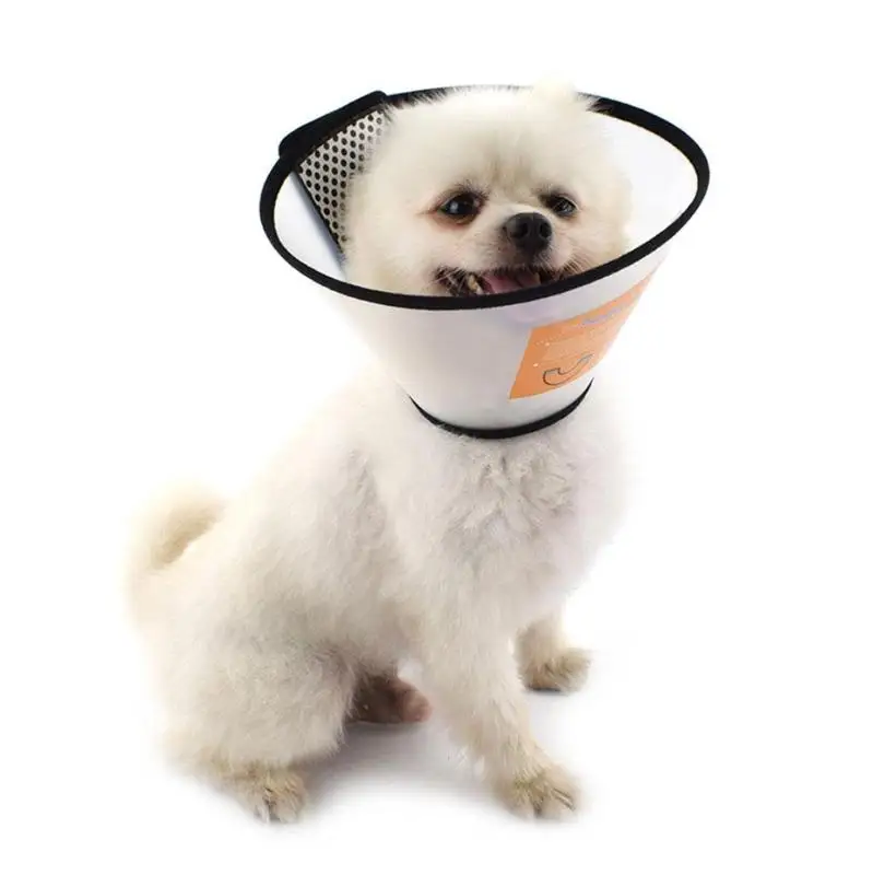 

Dog Prevent Bite Collar Use For Pet Bite Prevention Grooming Bathing Summer Lap Neck Set Multi-size Pp Anti-licking Collar