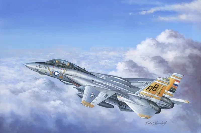

Hobby Boss MODEL 1/48 80366 F-14A Tomcat plastic model kit