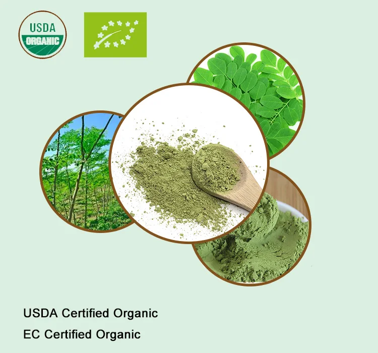 Koop USDA en EC Gecertificeerde biologische moringa blad poeder