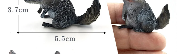 -12--DW-M-MY18_47