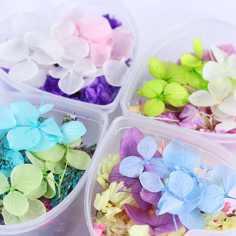 

1 Box 3D Dried Flowers Mixed Preserved Flowers Blue Purple Flower in Heart-Shaped Box Decor Nail Art DIY Design Decoration