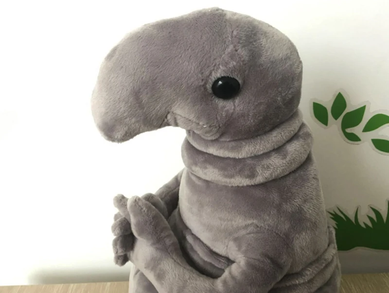 3972623517_1888598795