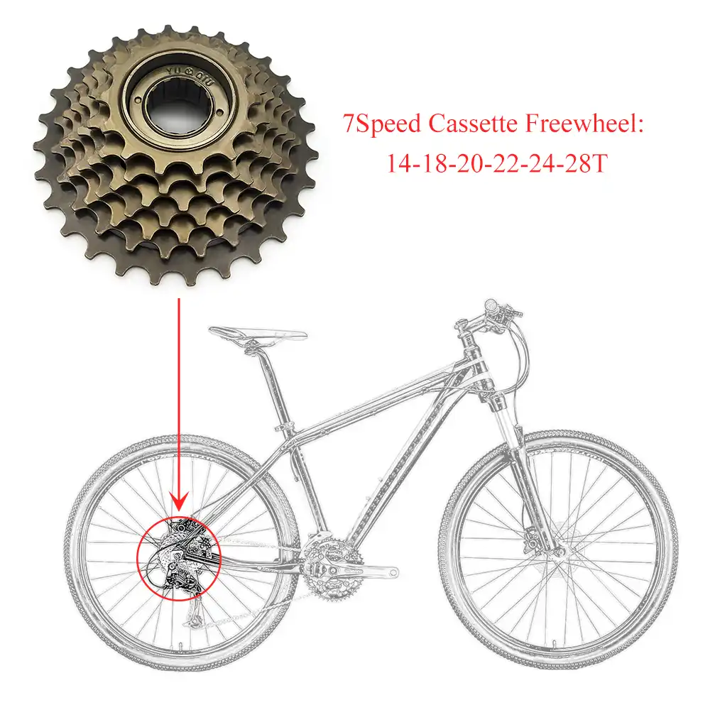 mtb 7 speed cassette