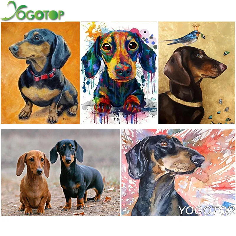 5D DIY Diamond Painting Professor Dachshund Diamond Embroidery Cute Pets Dog Full Drill Square/Round Rhinestones Mosaic YY410