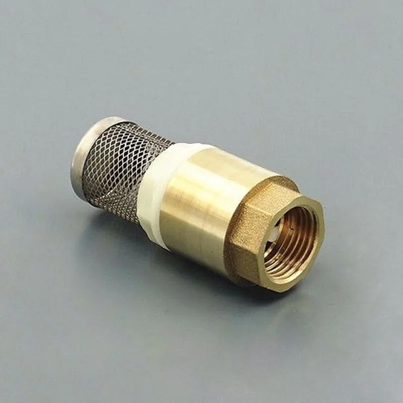 1 PC Brass Check Valve with Strainer Filter 1" (DN32) BSP Female Thread
