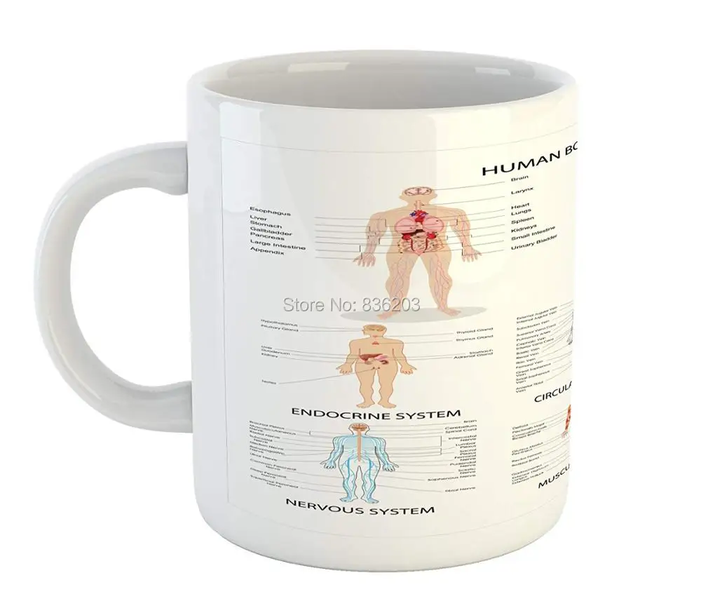 Травматический анатомический скелет, травма, медицинские инструменты, печатная керамическая кофейная кружка, медицинская структура человеческого тела, syatem Anat