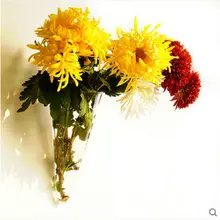 Стекло/гидропонная ваза подвесная стенная ваза стеклянная круговой конус