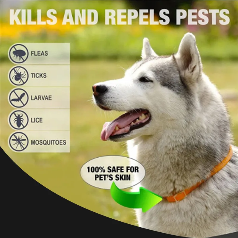

Adjustable Dog Collar Anti Flea and Tick Pest Lice Plastic Pet Cat Collar Waterproof Non-toxic No Insecticide S M L