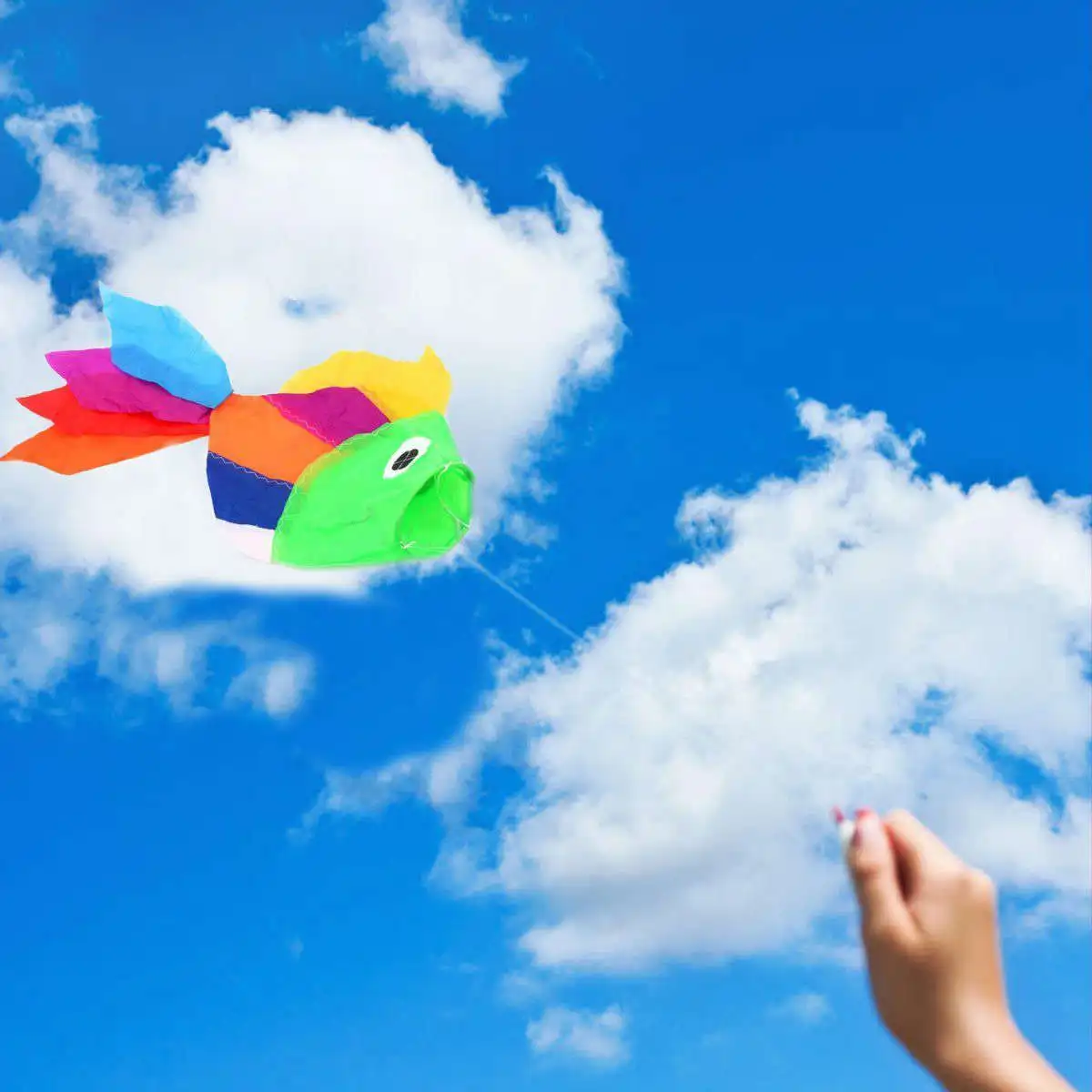 Rainbow Fish Windsock Streamer Kite Outdoor Sports Garden Tent Festival Flag New Colorful