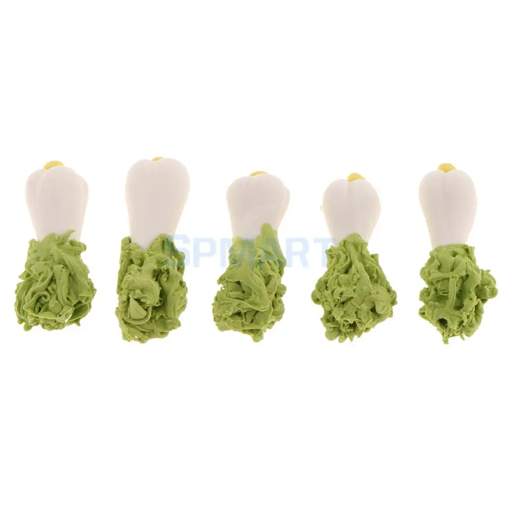 MagiDeal 5Pcs/Lot 1/12 Scale Dollhouse Miniature Watermelon Grape Vegetable Fruit Food for Dolls House Kitchen Garden Decor