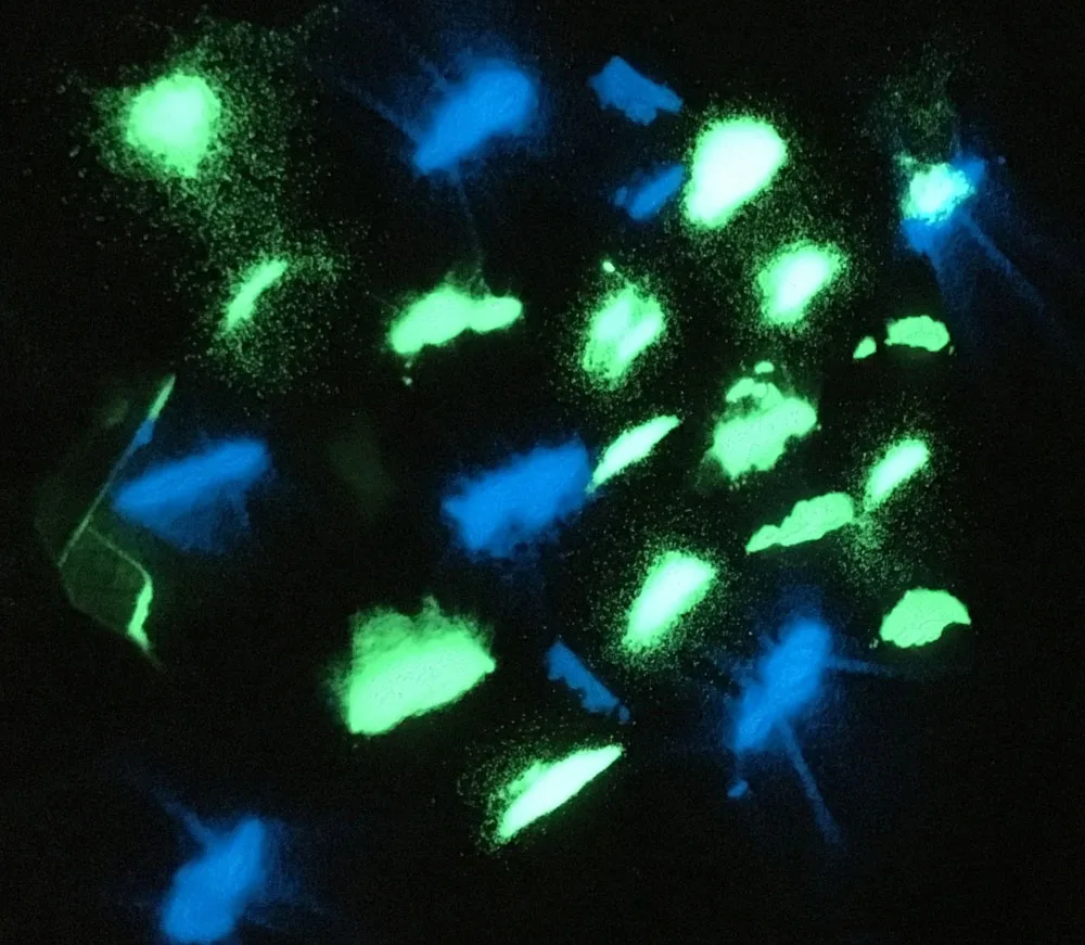 3047540403_868403064