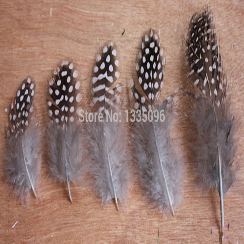 

Free shipping!100 PCS/lots of cheap retail guinea fowl pheasant feather 6-12 cm Natural color gulls beautiful feathers